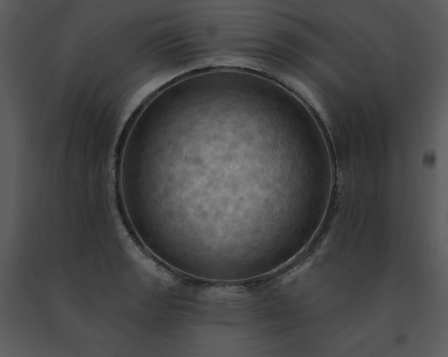 X0000091461133200708301825