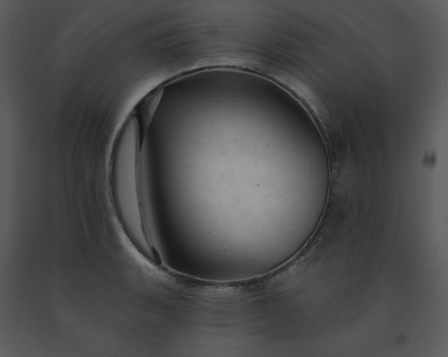 X0000091461135200708301825