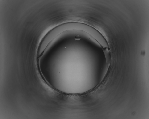 X0000091461136200708301825