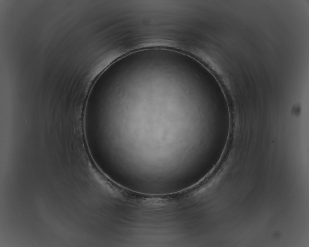 X0000091461137200708301825