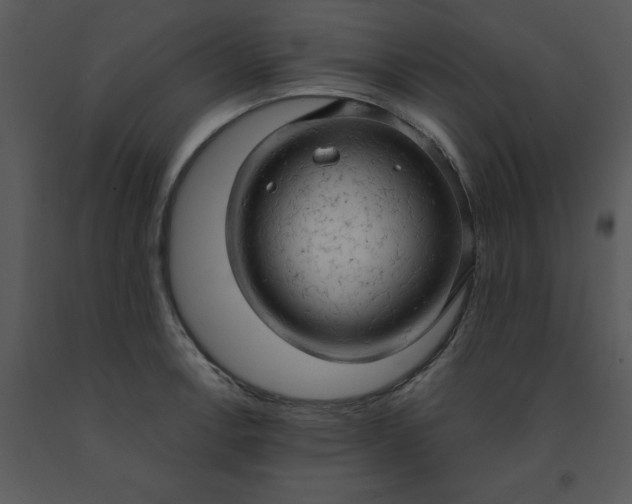 X0000091461138200708301825