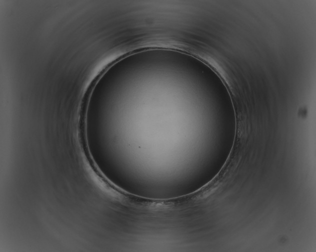 X0000091461139200708301825