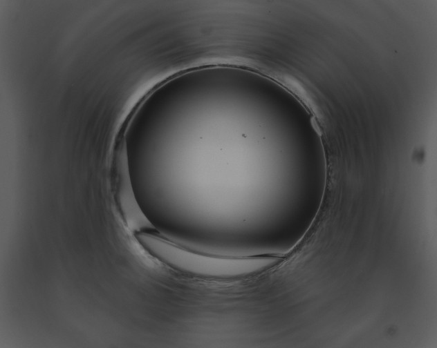 X0000091461140200708301825