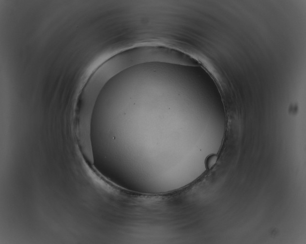 X0000091461143200708301825