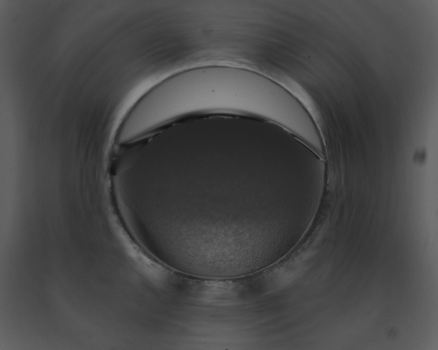 X0000091461144200708301825