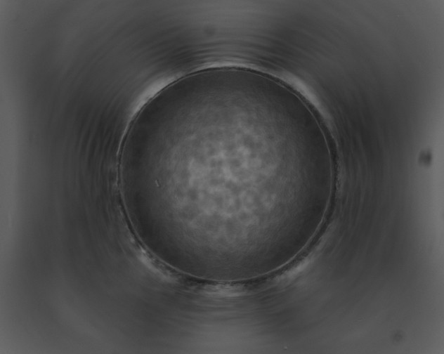 X0000091461145200708301825