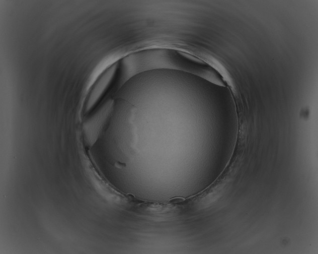 X0000091461146200708301825