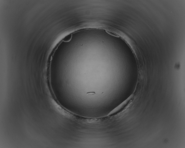 X0000091461147200708301825