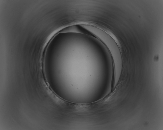 X0000091461148200708301825