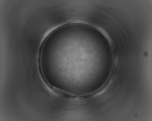 X0000091461149200708301825