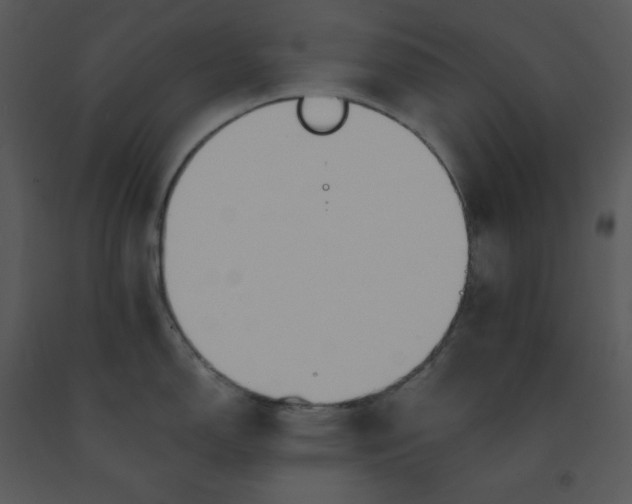 X0000091461150200708301825