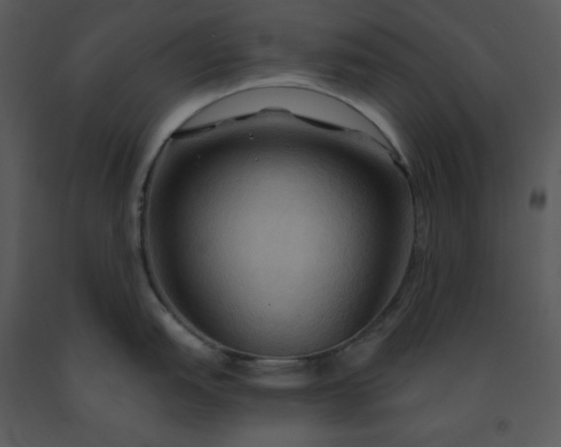 X0000091461151200708301825