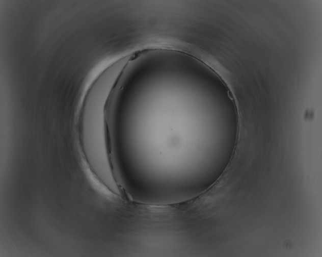 X0000091461152200708301825