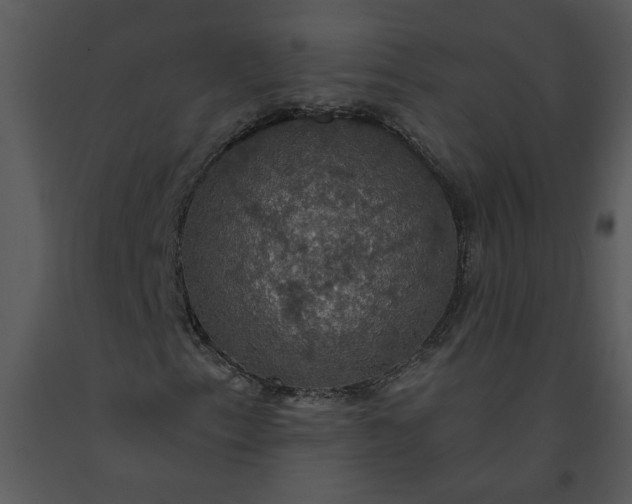 X0000091461153200708301825