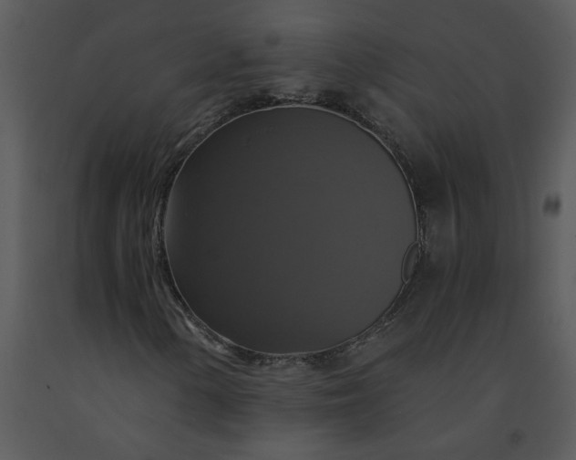 X0000091461154200708301825