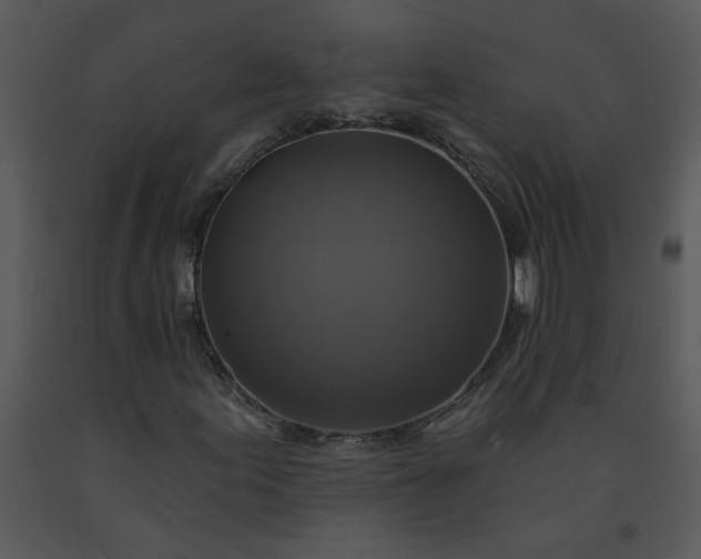 X0000091461155200708301825