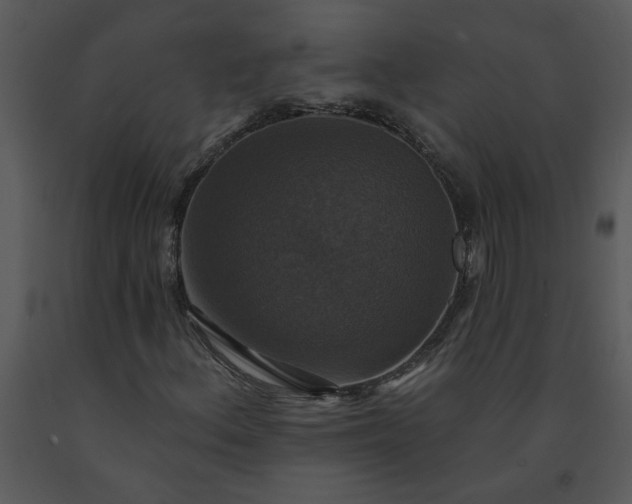 X0000091461156200708301825