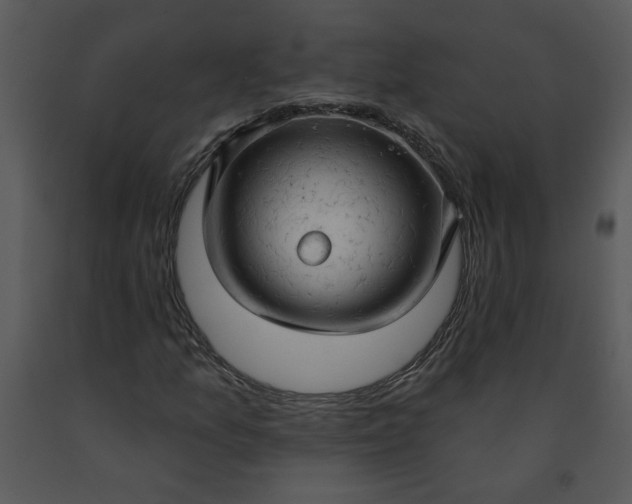 X0000091461157200708301825