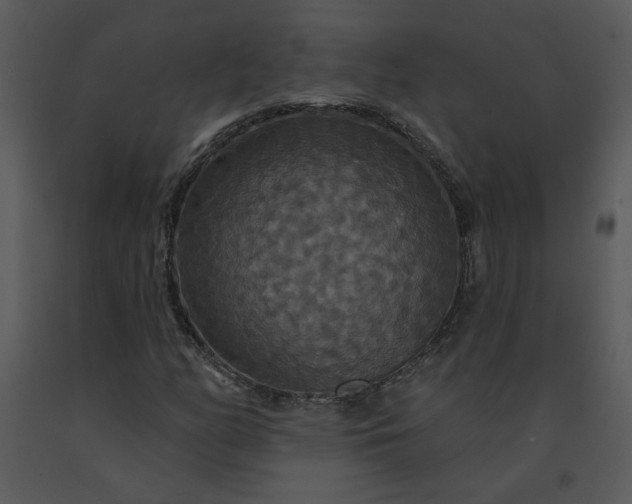 X0000091461158200708301825