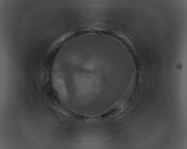 X0000091461159200708301825