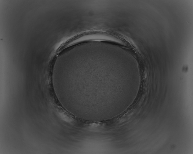 X0000091461160200708301825