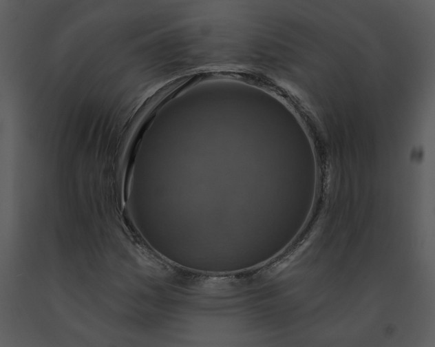 X0000091461161200708301825