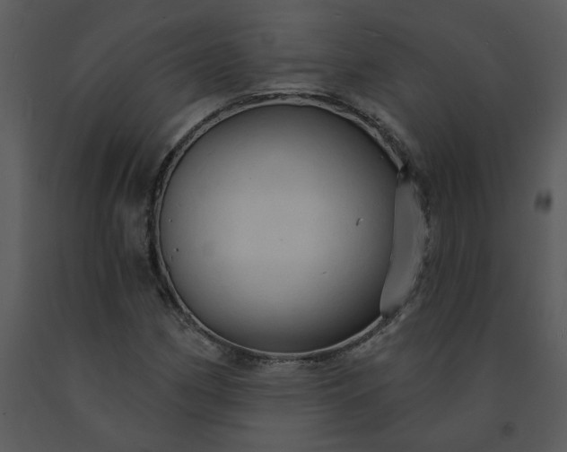 X0000091461162200708301825