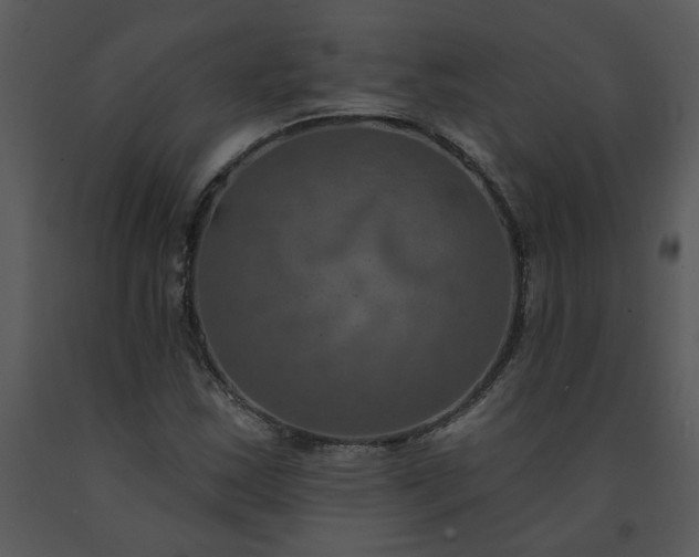 X0000091461163200708301825