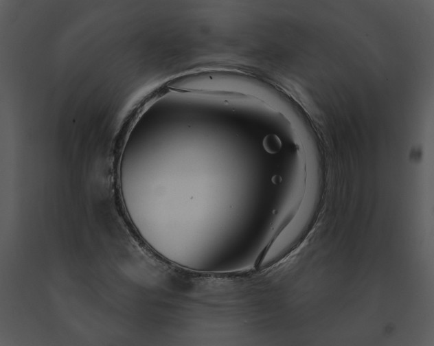 X0000091461164200708301825