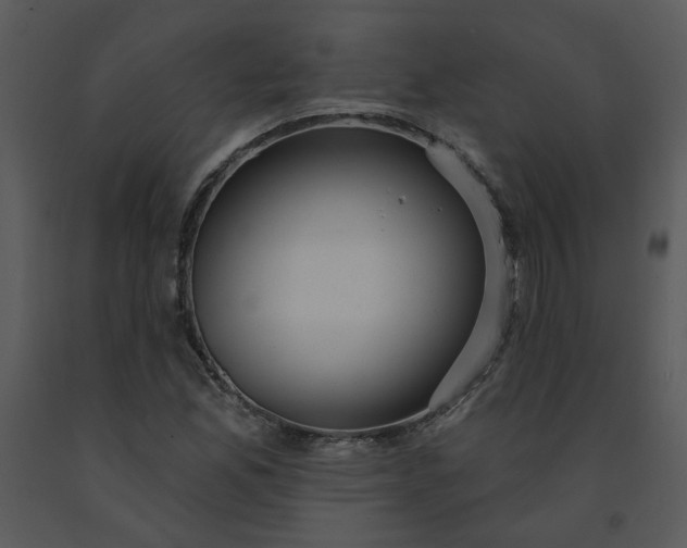 X0000091461165200708301825