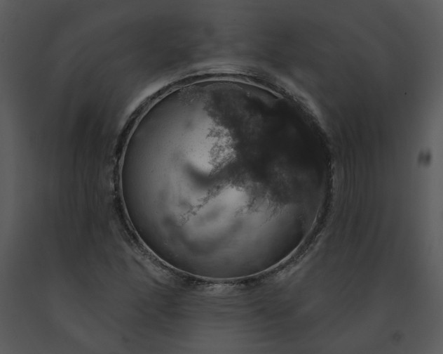 X0000091461166200708301825