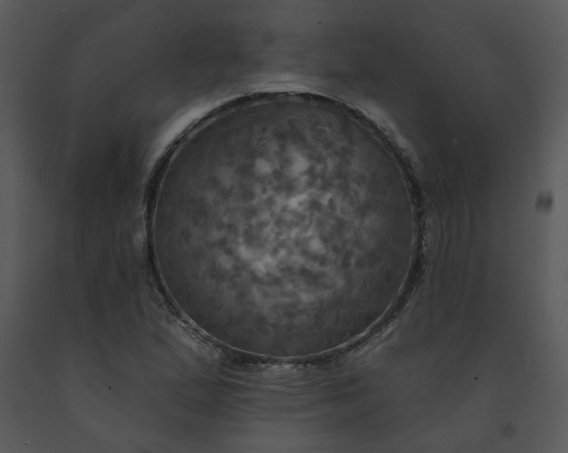 X0000091461167200708301825