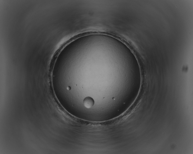 X0000091461168200708301825