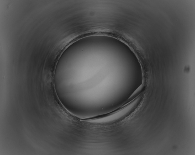 X0000091461169200708301825