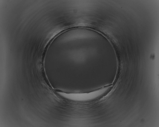 X0000091461170200708301825