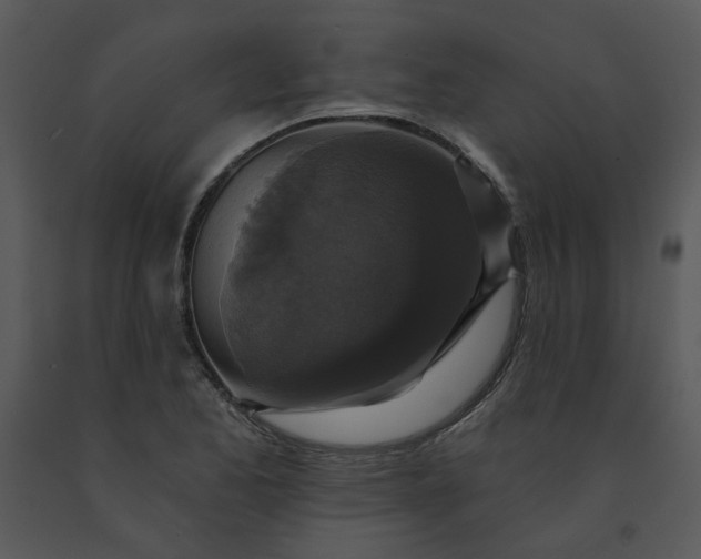 X0000091461173200708301825