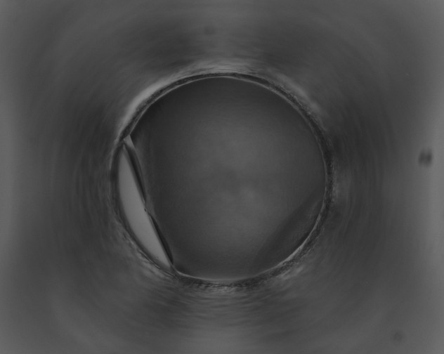 X0000091461174200708301825