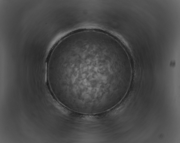 X0000091461175200708301825