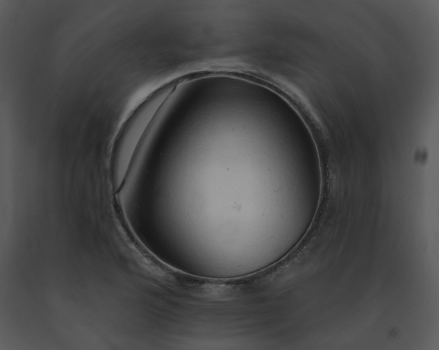 X0000091461176200708301825