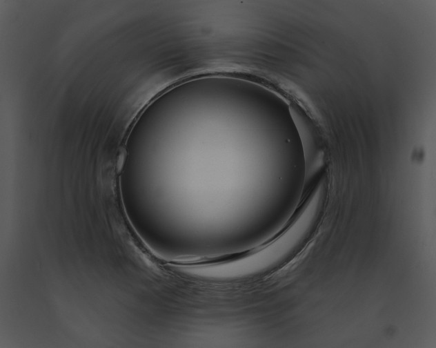 X0000091461177200708301825