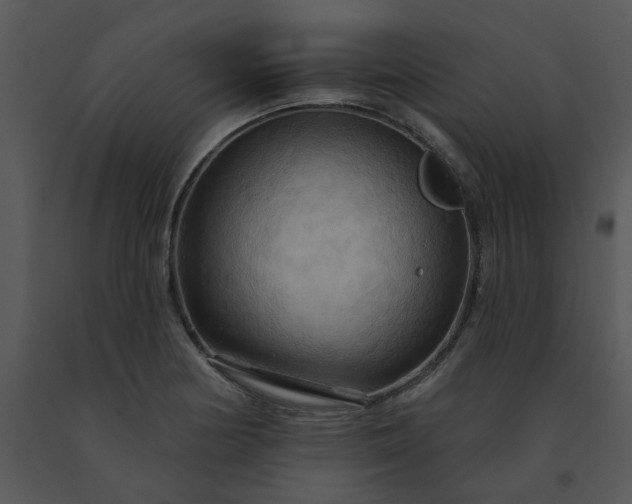 X0000091461178200708301825