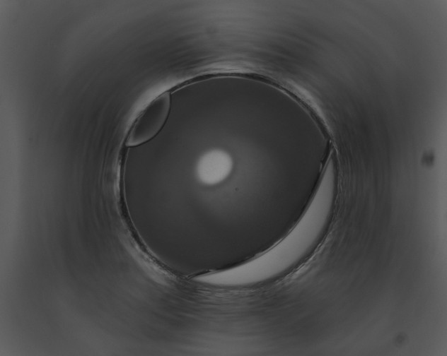 X0000091461179200708301825