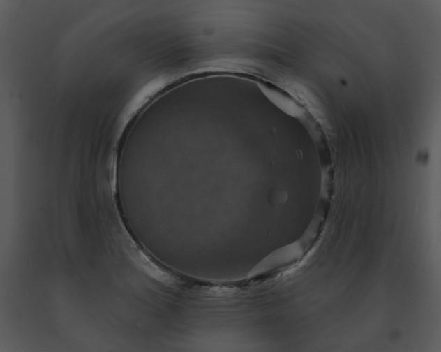 X0000091461180200708301825