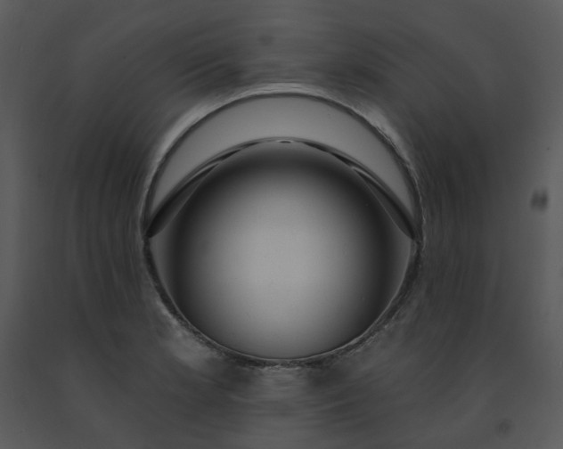 X0000091461181200708301825