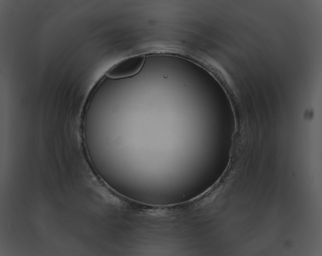 X0000091461182200708301825