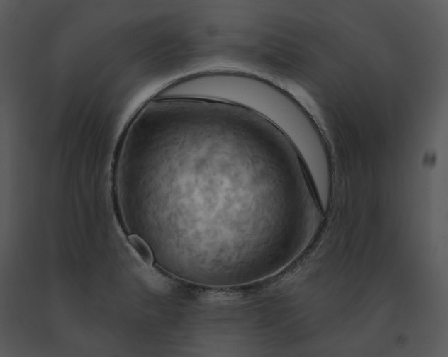 X0000091461183200708301824