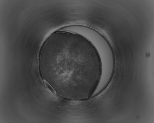 X0000091461184200708301824