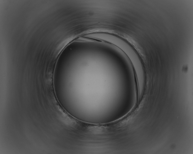 X0000091461185200708301824