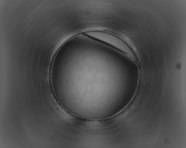 X0000091461186200708301824