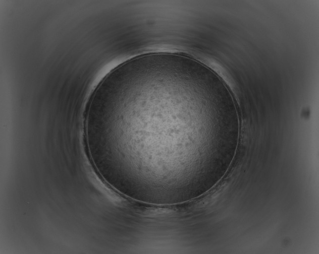 X0000091461187200708301824